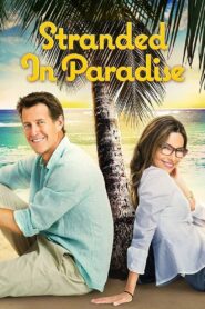 Stranded in Paradise 2014 on netflix