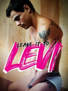 Leave It to Levi 2019 on netflix