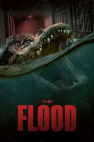 The Flood 2023 on netflix