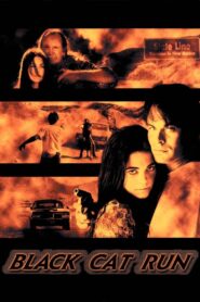 Black Cat Run 1998 on netflix