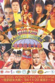 AJW Big Egg Wrestling Universe 1994 on netflix