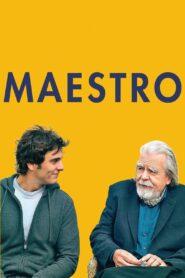 Maestro 2014 on netflix