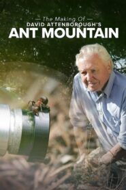 The Making of David Attenborough’s Ant Mountain 2018 on netflix