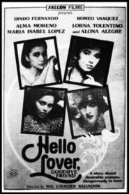 Hello Lover, Goodbye Friend 1985 on netflix