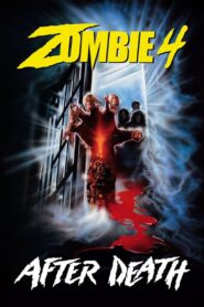 After Death 1990 on netflix