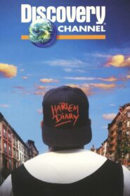 Harlem Diary: Nine Voices of Resilience 1995 on netflix