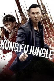 Kung Fu Jungle 2014 on netflix