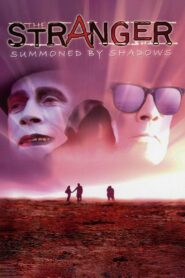 The Stranger: Summoned by Shadows 1991 on netflix