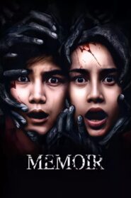 Memoir 2017 on netflix