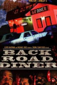 Back Road Diner 1999 on netflix