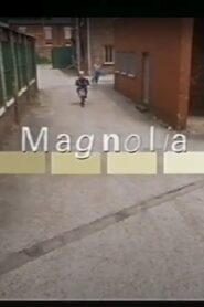 Magnolia 2006 on netflix
