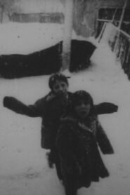 Widowstreet 1991 on netflix