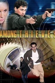 Among Thieves 2009 on netflix