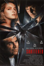 Shattered 1991 on netflix