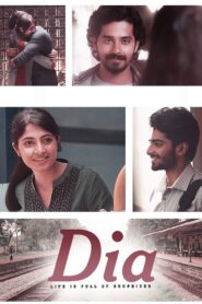 Dia 2020 on netflix