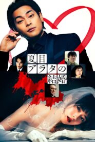 A Conviction of Marriage 2024 on netflix