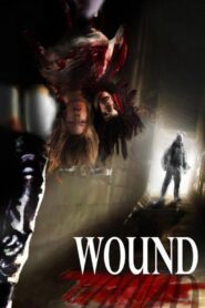 Wound 2010 on netflix