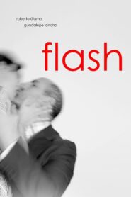 Flash 2014 on netflix