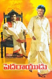Pedarayudu 1995 on netflix