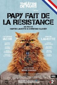 Papy fait de la résistance 2021 on netflix
