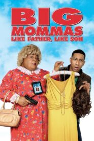 Big Mommas: Like Father, Like Son 2011 on netflix