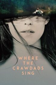 Where the Crawdads Sing 2022 on netflix