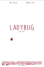 Ladybug 2014 on netflix