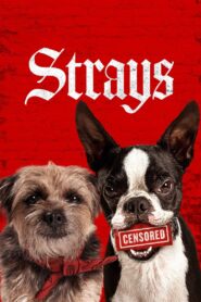 Strays 2023 on netflix