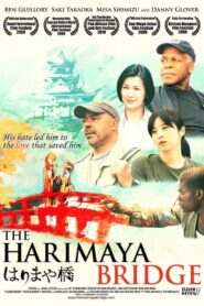The Harimaya Bridge 2009 on netflix
