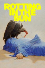 Rotting in the Sun 2023 on netflix