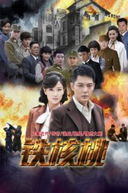 Iron Walnut 2015 on netflix