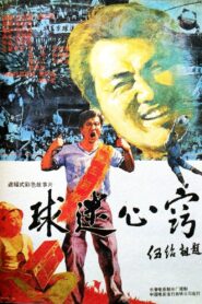 球迷心窍 1992 on netflix
