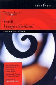 I vespri Siciliani 1990 on netflix