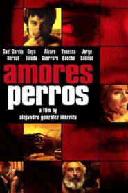Amores Perros 2000 on netflix