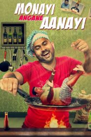 Monayi Angane Aanayi 2014 on netflix