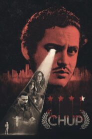 Chup 2022 on netflix