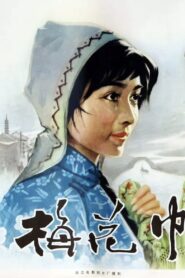 The Plum Flower Embroidery 1980 on netflix