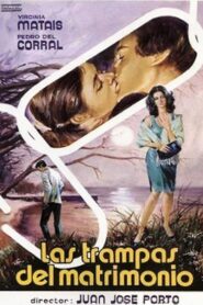 Las trampas del matrimonio 1982 on netflix