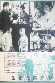 生活是美好的 1982 on netflix
