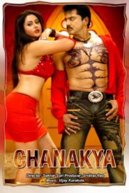 Chanakya 2005 on netflix