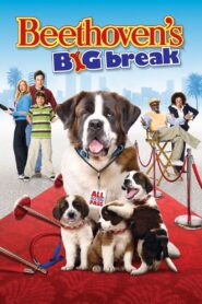 Beethoven’s Big Break 2008 on netflix
