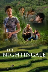 The Nightingale 2014 on netflix
