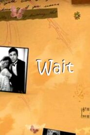 Wait 2005 on netflix