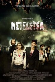 Winter of the Dead. Meteletsa 2012 on netflix