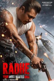 Radhe 2021 on netflix