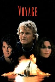 Voyage 1993 on netflix