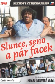 Sun, Hay and a Couple of Slaps 1989 on netflix