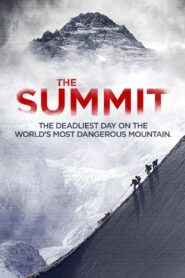 The Summit 2013 on netflix