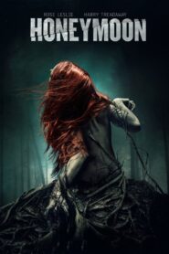 Honeymoon 2014 on netflix