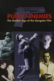 Public Enemies: The Golden Age of the Gangster Film 2008 on netflix